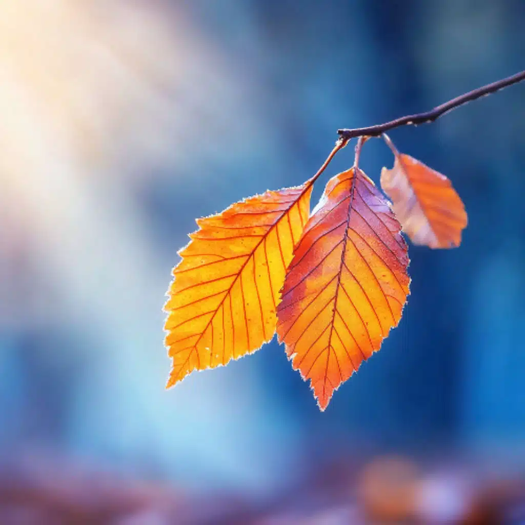 At Home With the Lord, Adam Kohlstrom