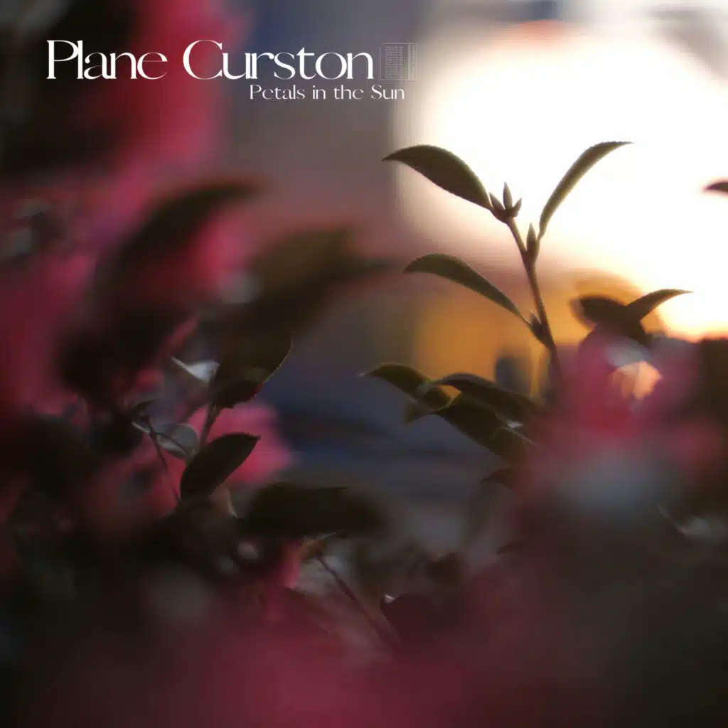 Plane Curston