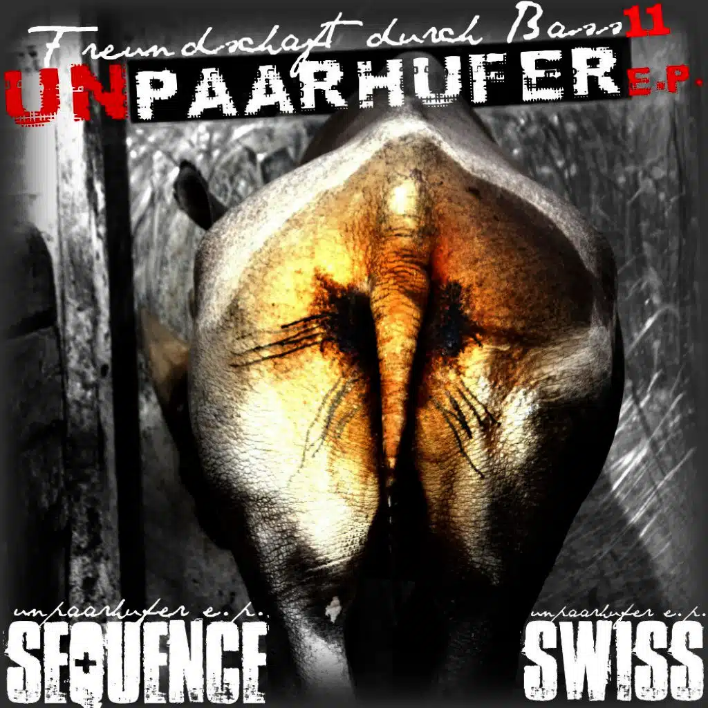 Unpaarhufer (Arbez Mnmldizko Rmx)