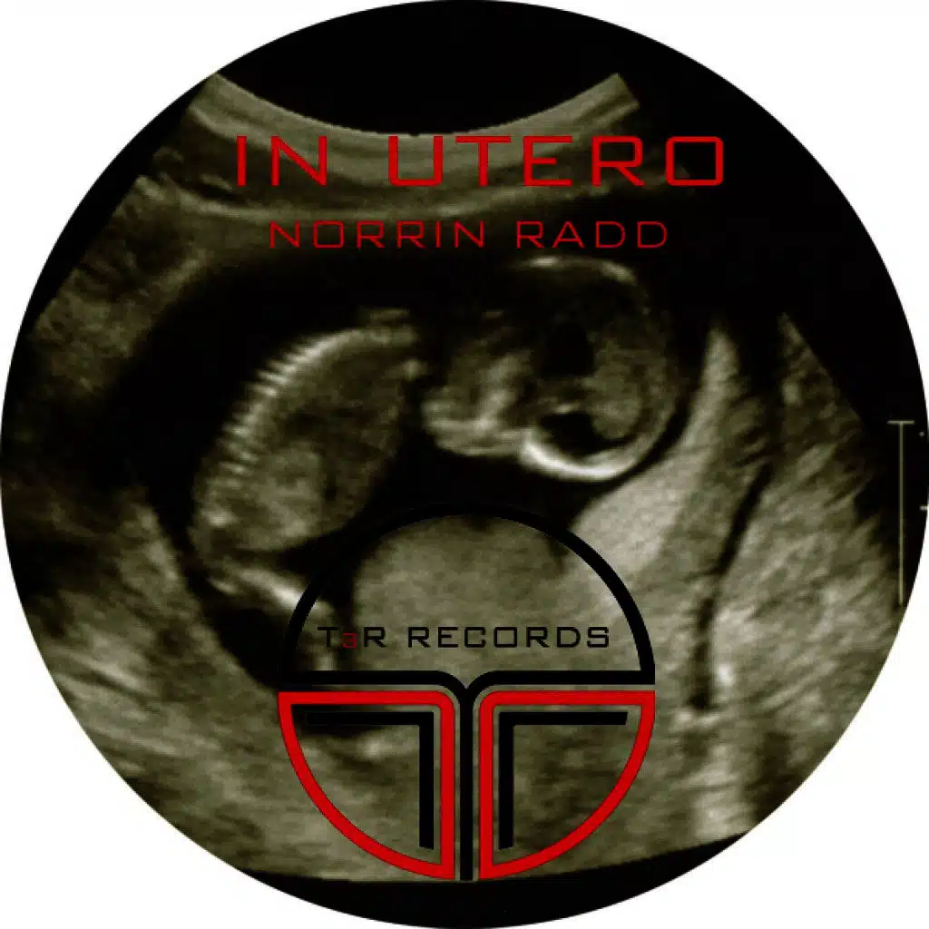 In Utero