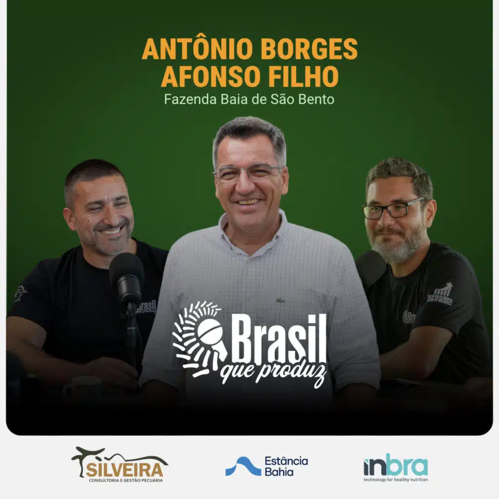 ANTÔNIO BORGES AFONSO FILHO - FAZENDA BAÍA DE SÃO BENTO