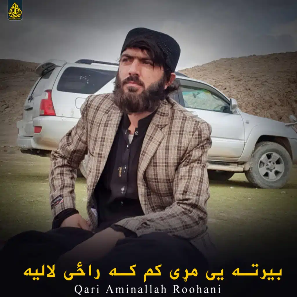 بیرته یی مړی کم که راځی لالیه