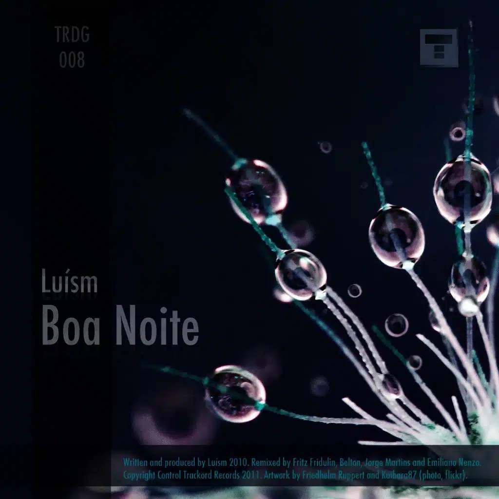 Boa Noite (Fritz Fridulin's Forwardtechno Remix)