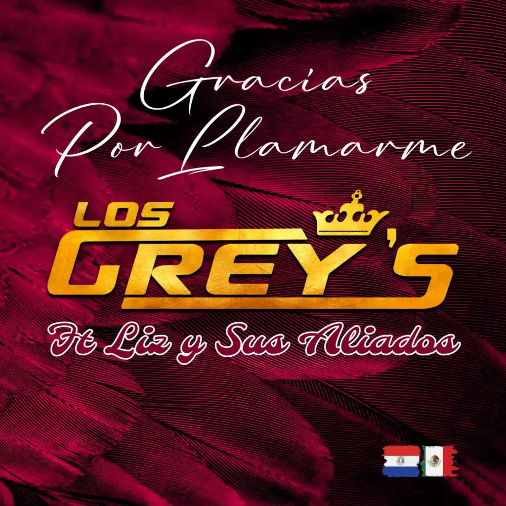 Los Grey's