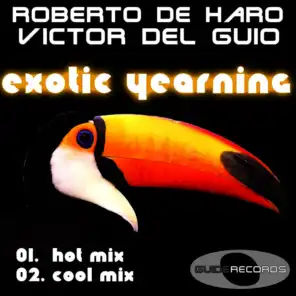 Exotic Yearning (Hot Mix)