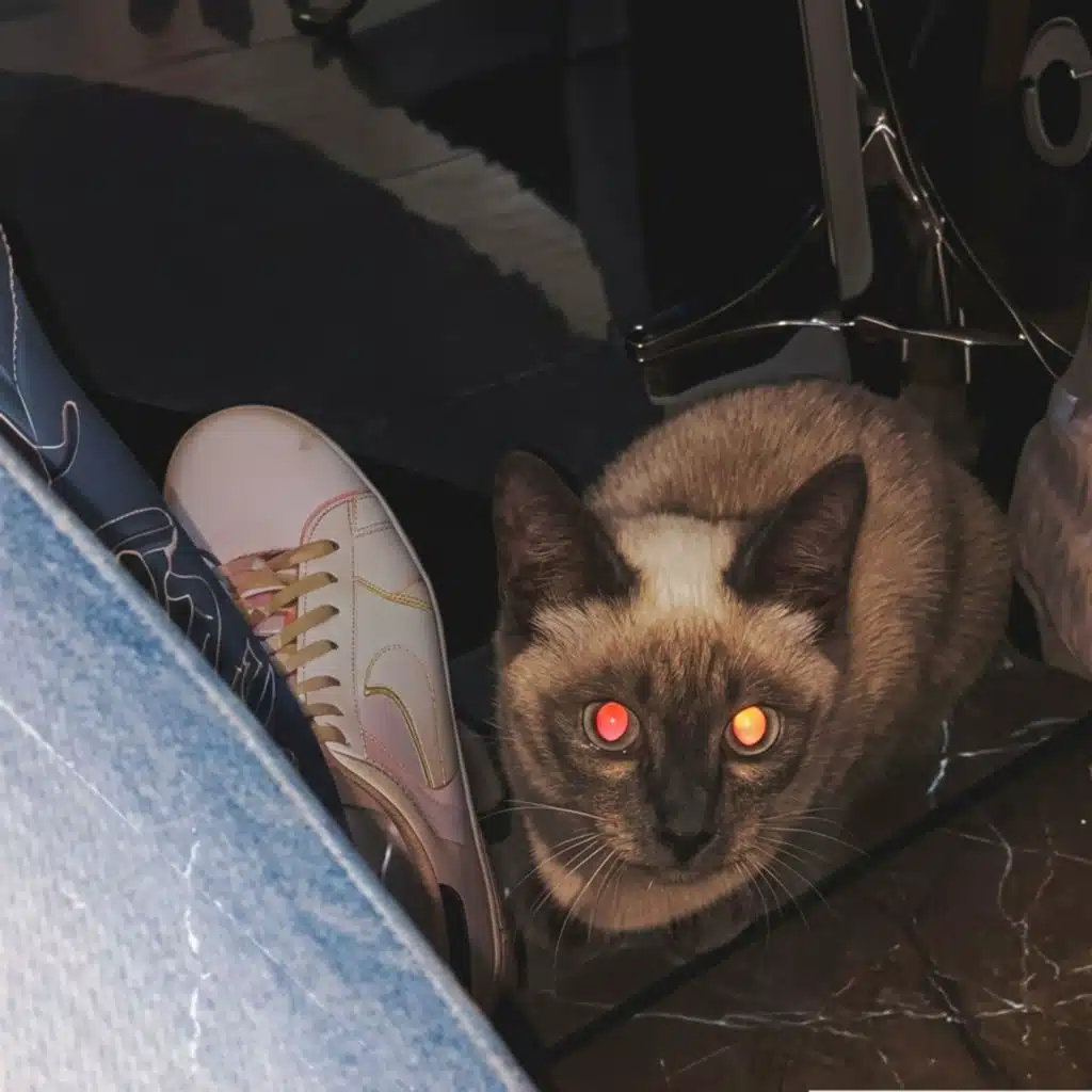 EN MI CABEZA