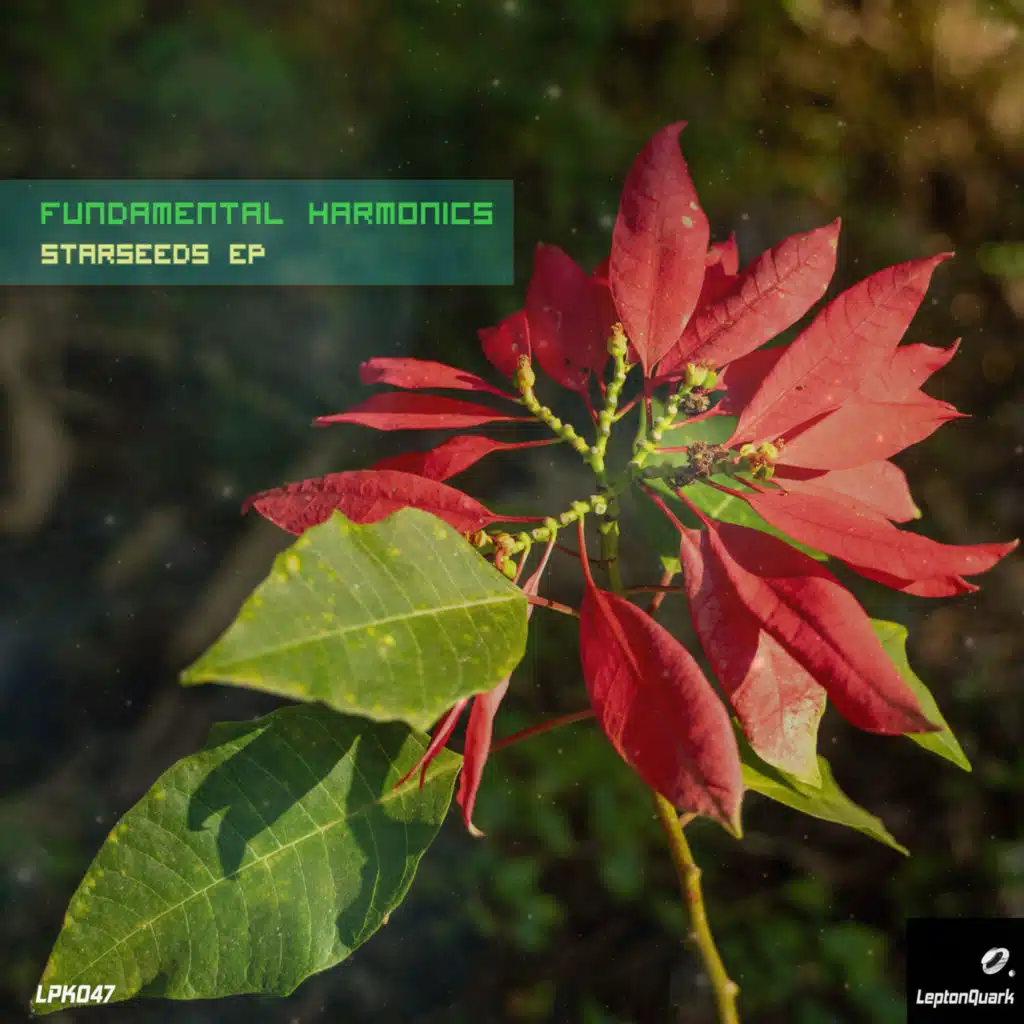 Fundamental Harmonics