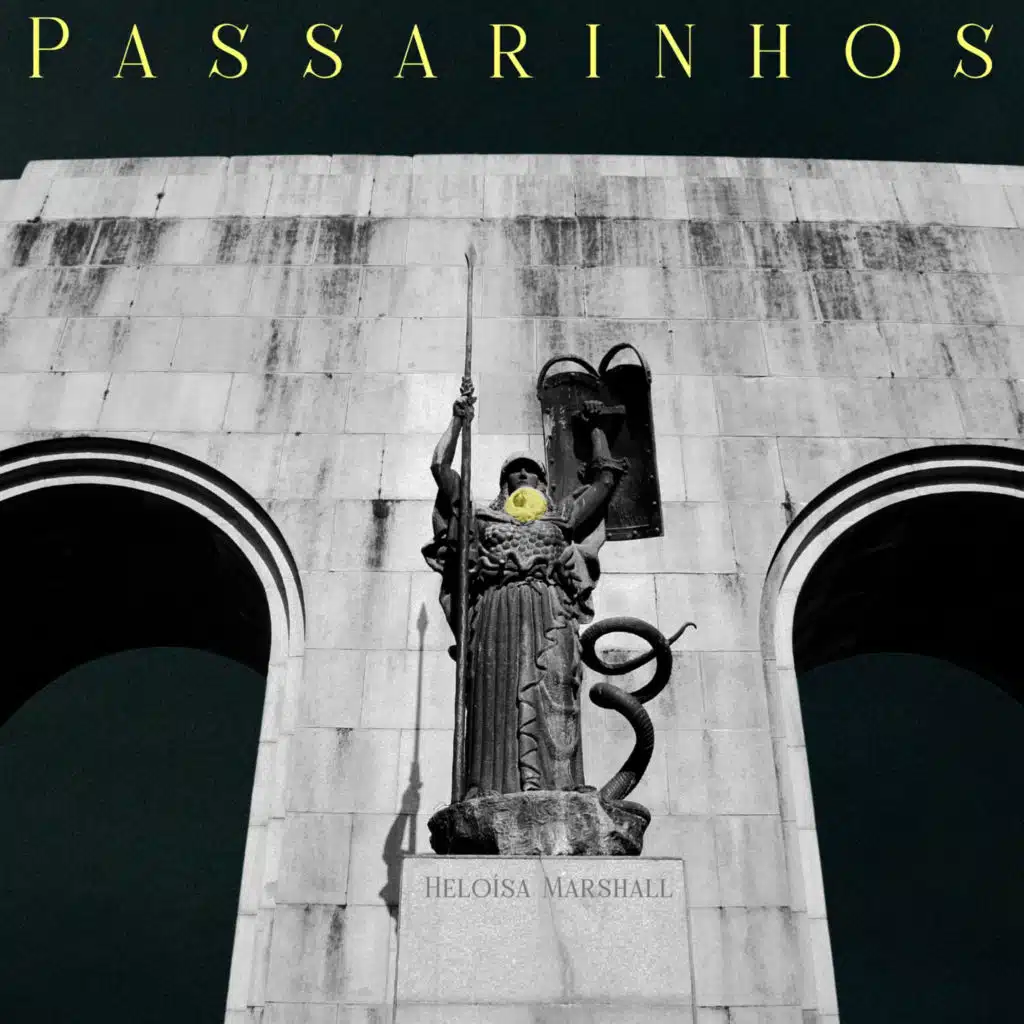 Passarinhos