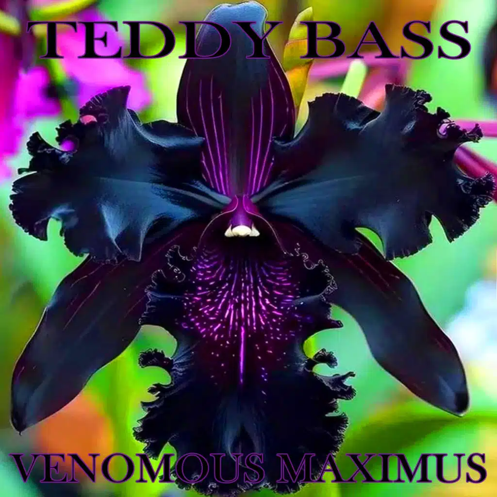 Teddy Bass