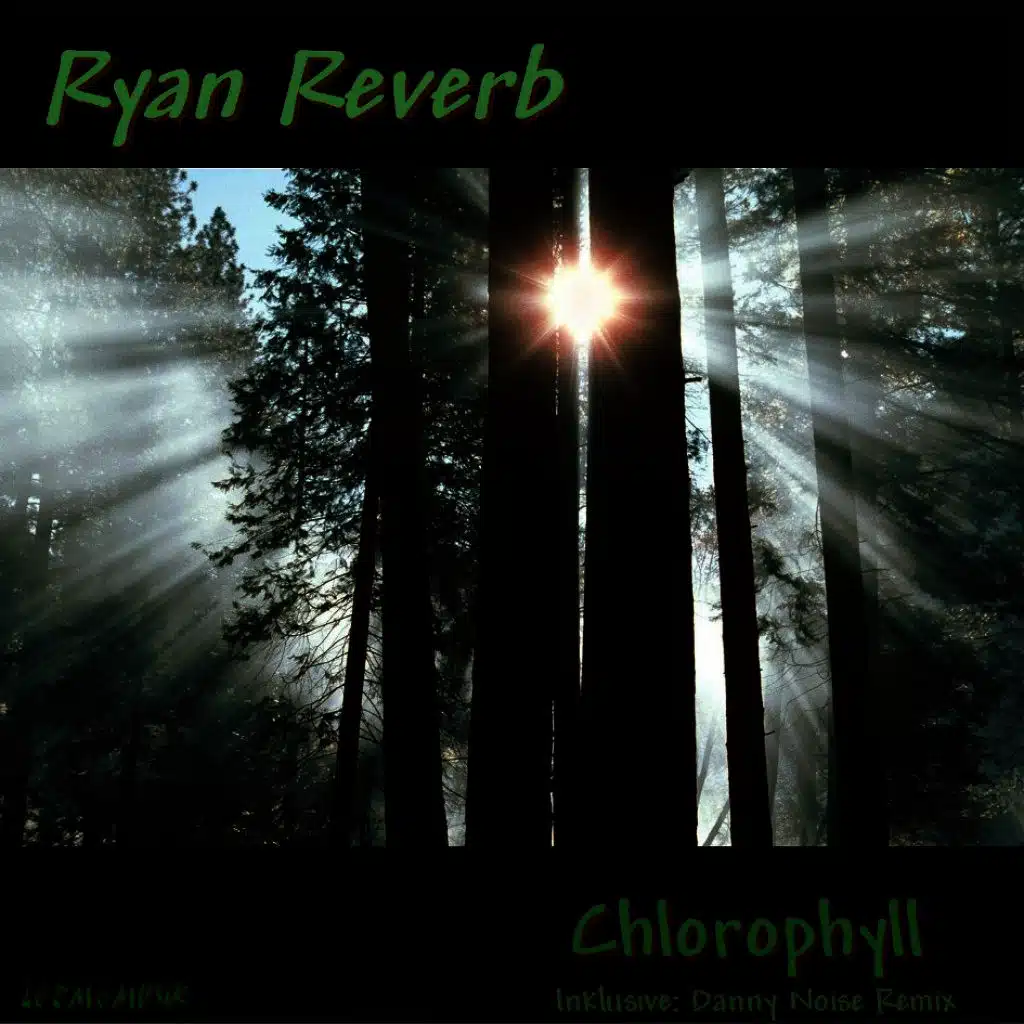 Chlorophyll