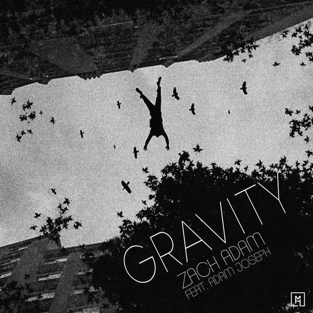 Gravity (feat. Adam Joseph)