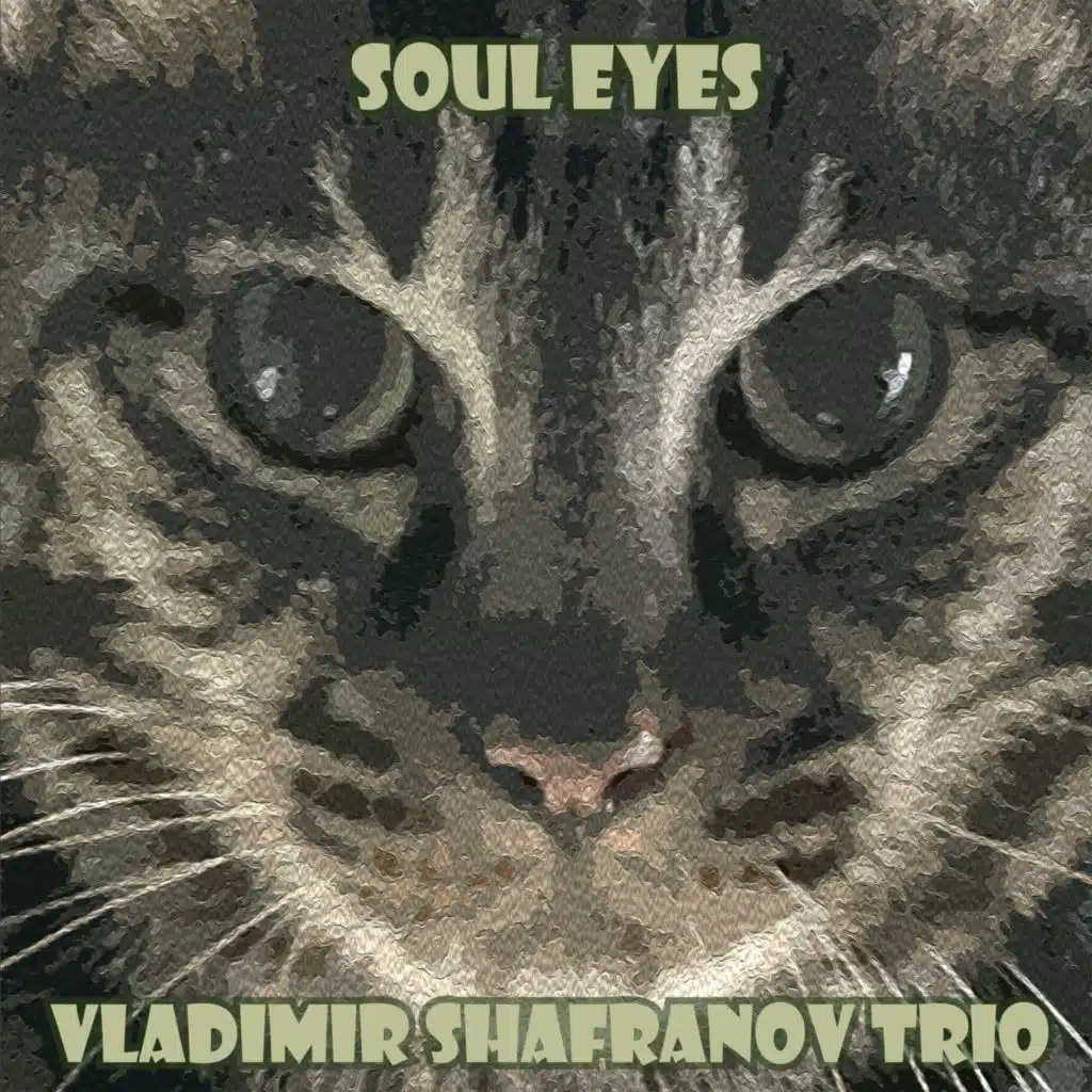 Vladimir Shafranov Trio