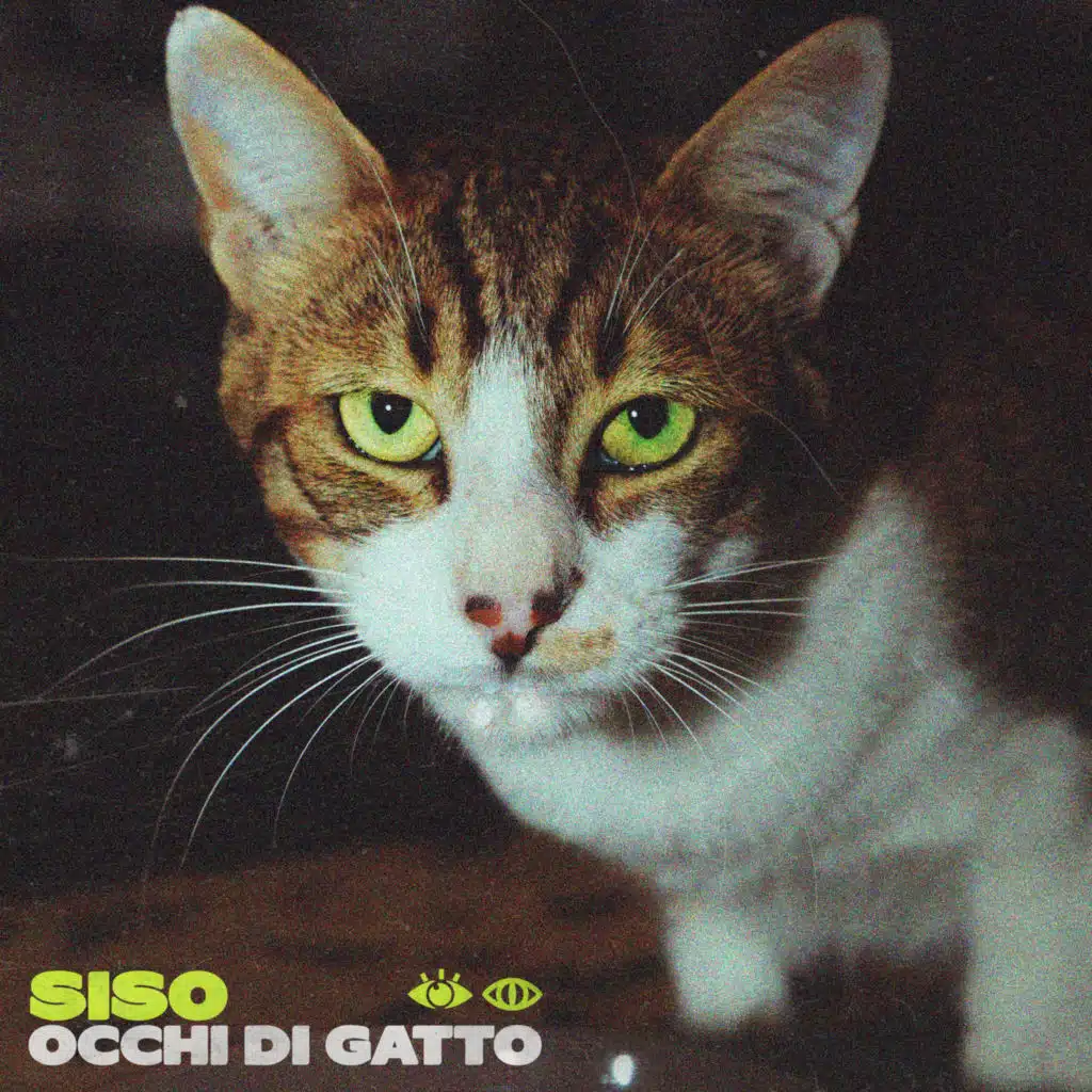 OCCHI DI GATTO