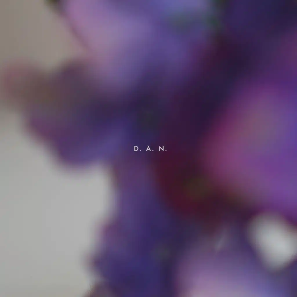 D.A.N. (Broder)