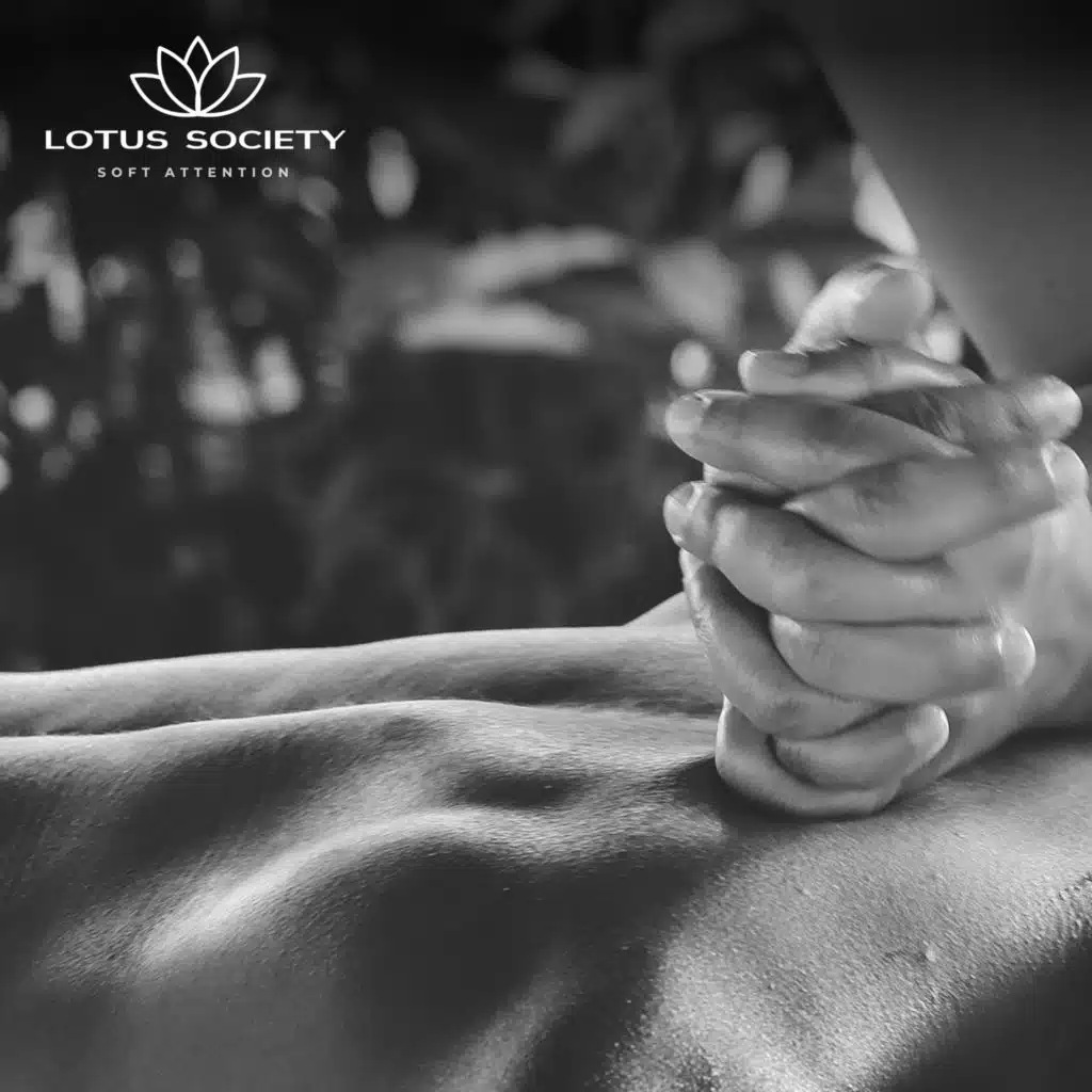 Lotus Society