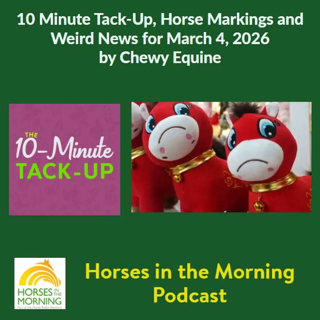 10 Minute Tack-Up, Horse Markings and Weird News for March 4, 2026 by Chewy Equine
