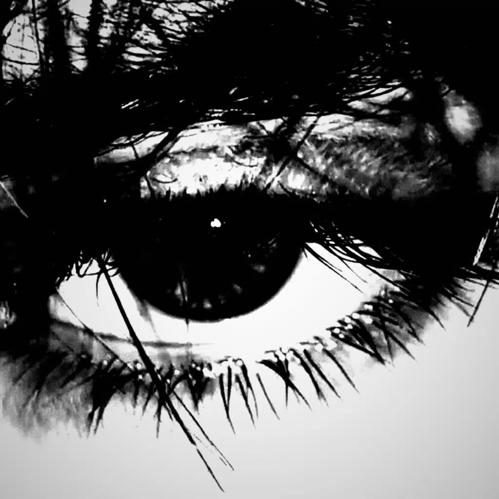 Stereo Love (Hardtekk)