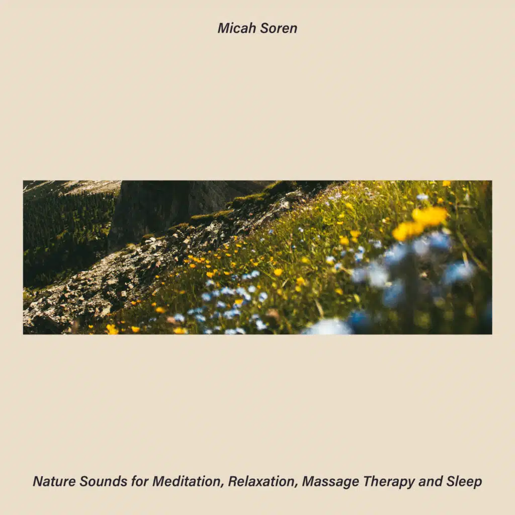 Nature Sounds for Meditation, Relaxation, Massage Therapy and Sleep