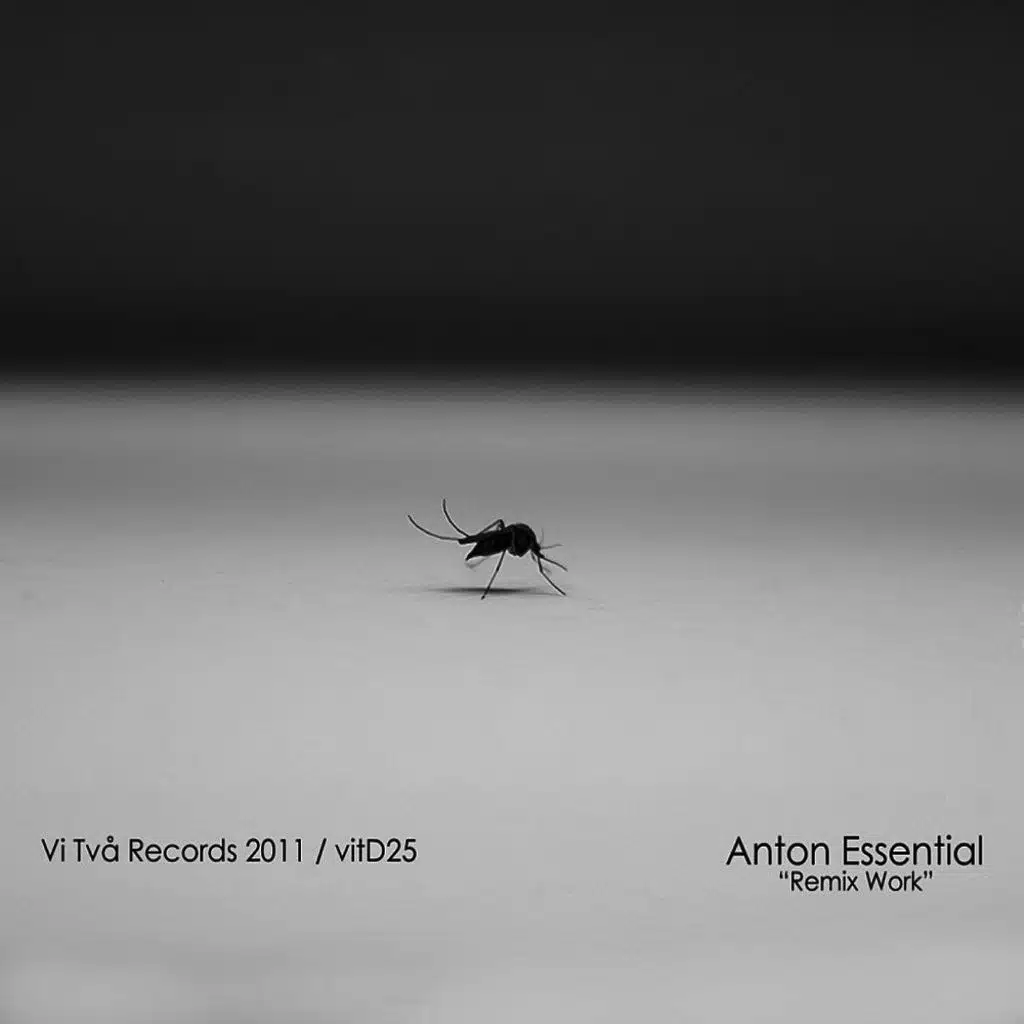 Nebel-Leben (Anton Essential Remix)