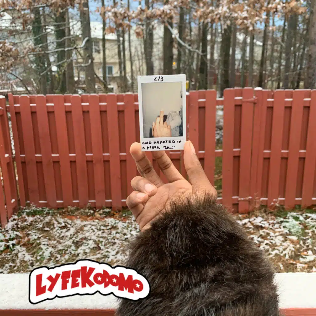 Cold Hearted In A Mink