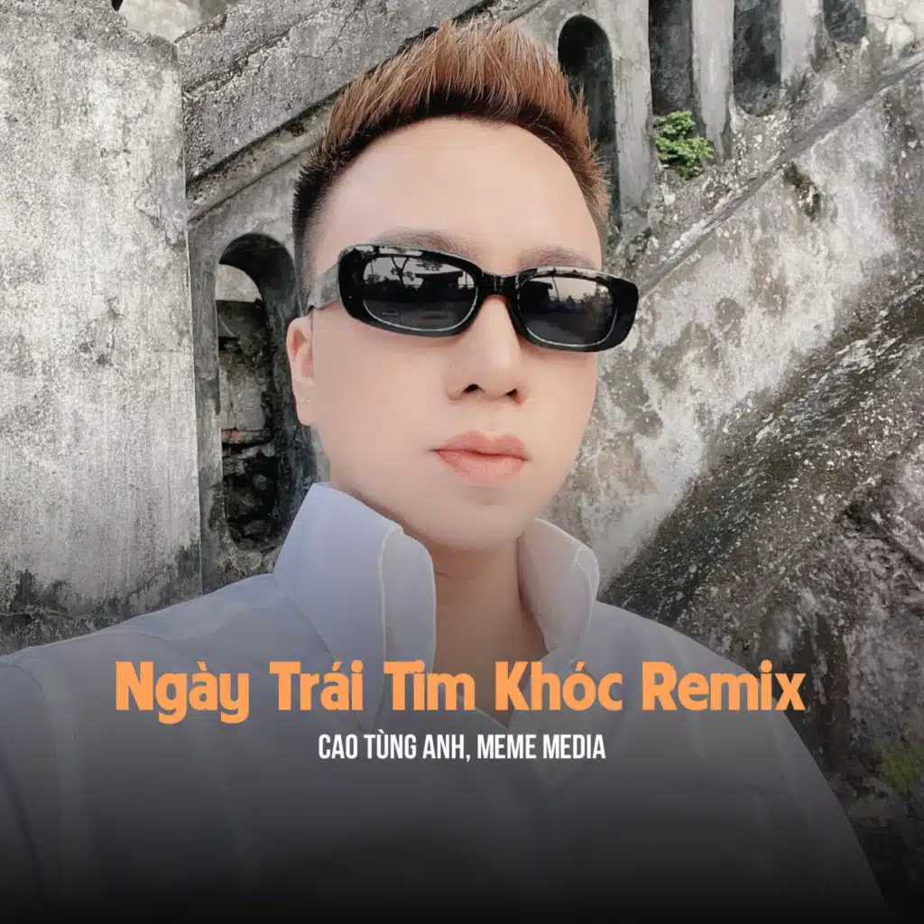 Ngày Trái Tim Khóc (Remix)