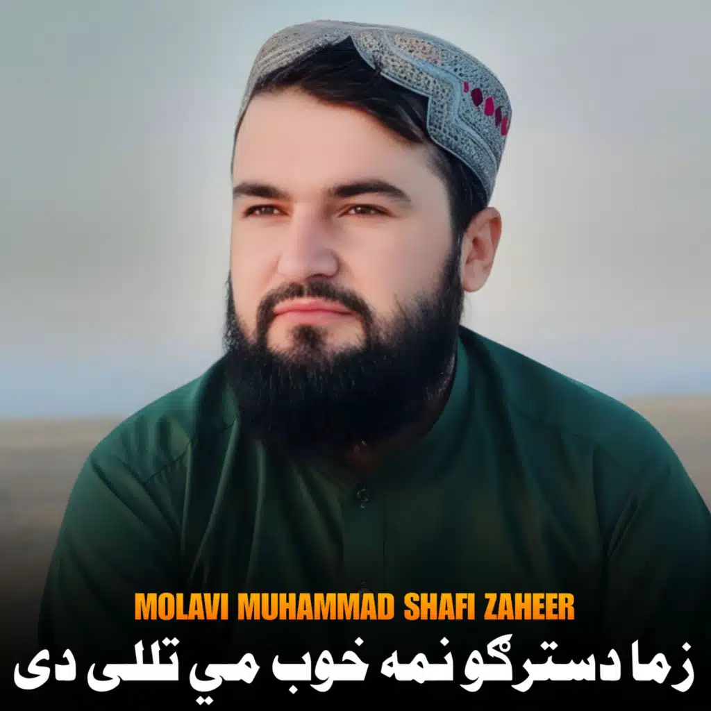په خيال په تصور کې مې دلبر لیدلی دی