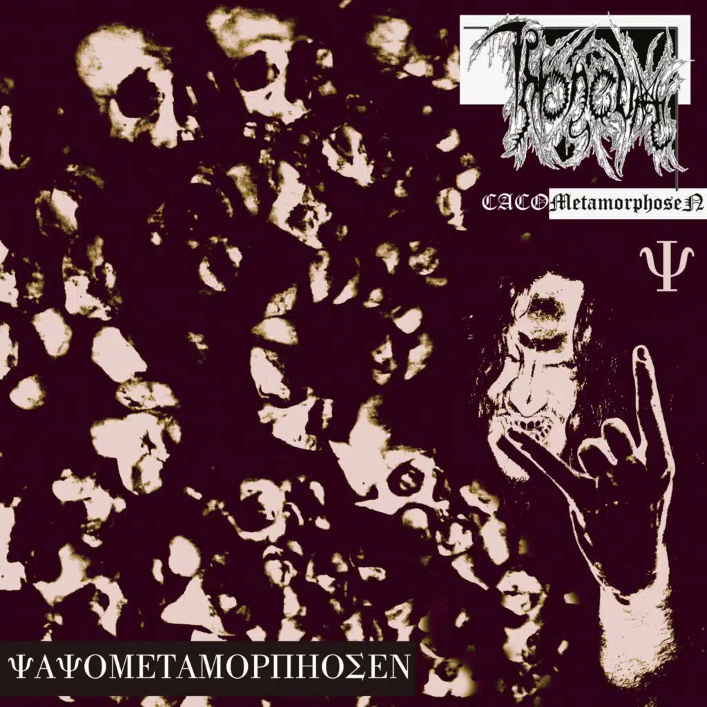 CACOMetamorphoseN