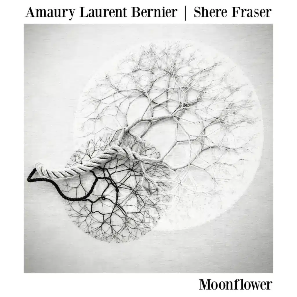 Moonflower