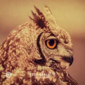 Eye Of The Owl (Raphael Raban Remix)