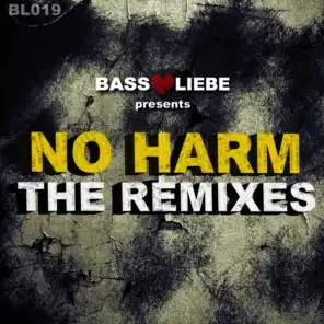 No Harm (Fr33m4n Fidget Remix)