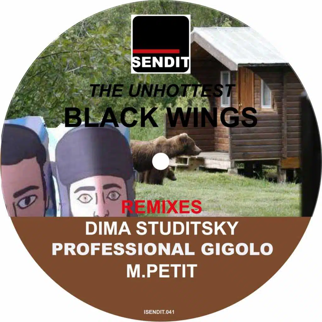 Black Wings Remixes
