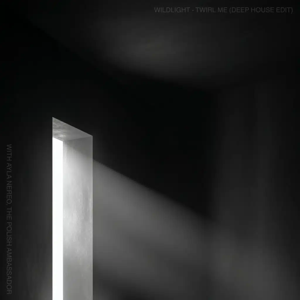 Wildlight, The Polish Ambassador & Ayla Nereo