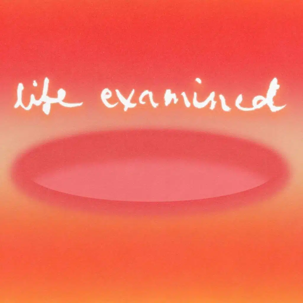 Life Examined