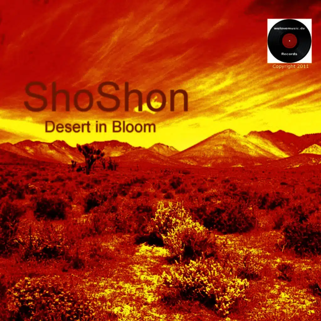Desert in Blom