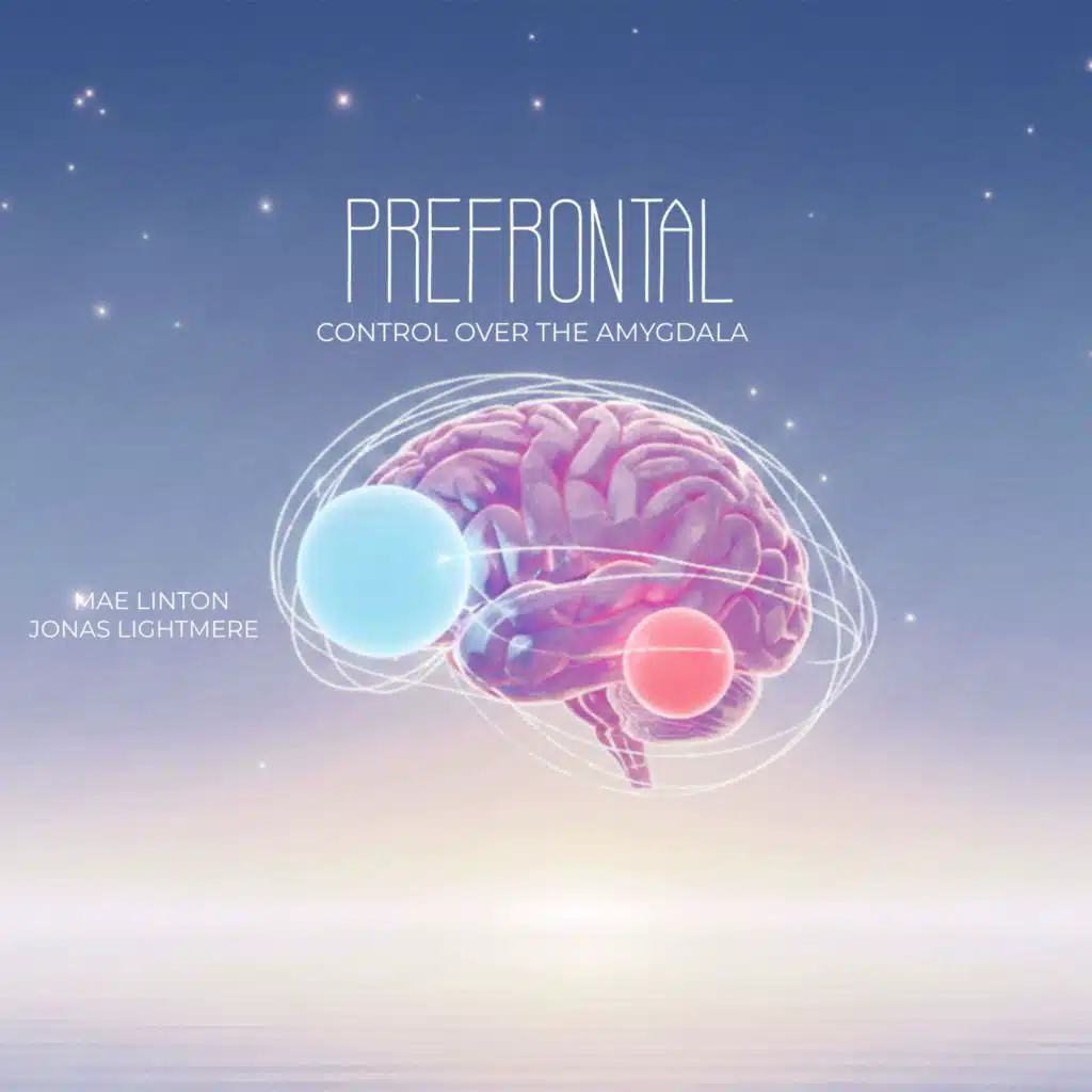 Prefrontal Control over the Amygdala