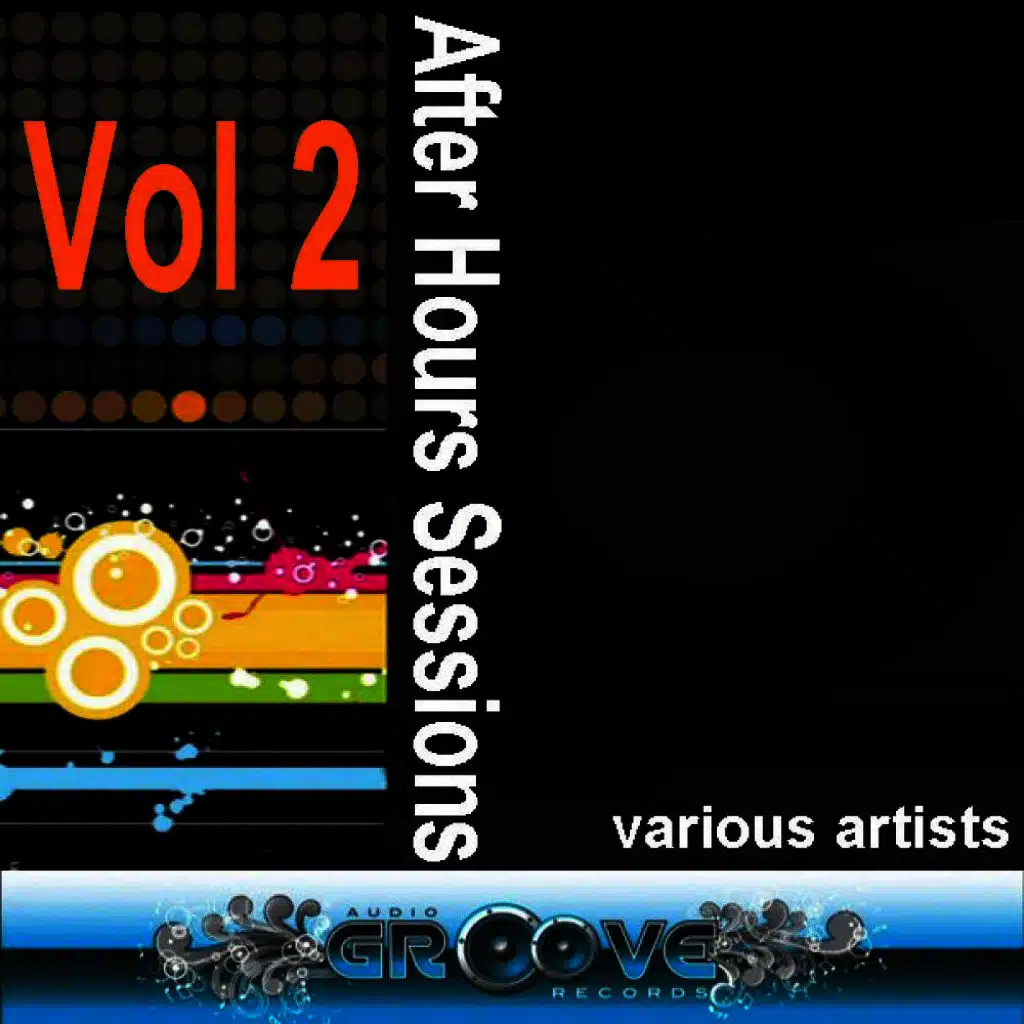 Afterhours Sessions Vol 2