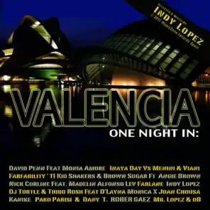 One Night in Valencia (Continuous DJ Mix)