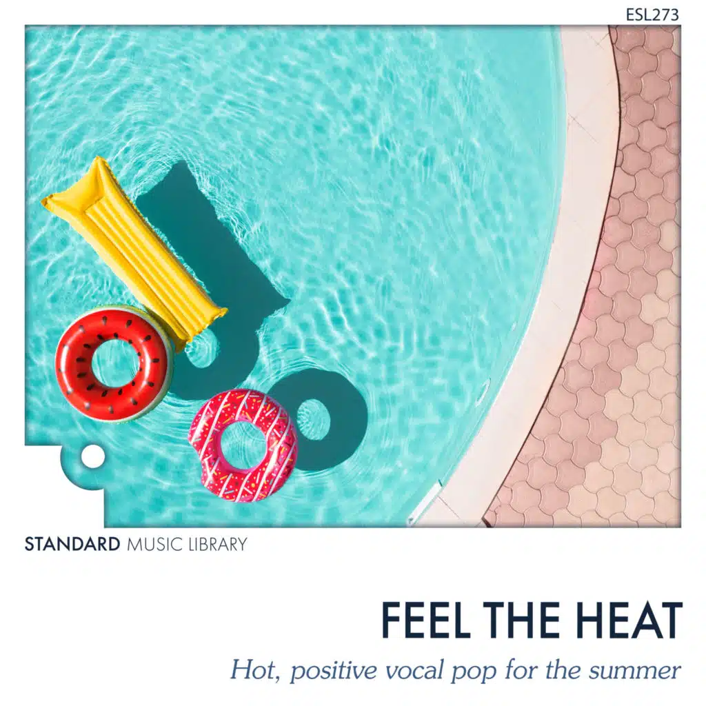 Standard Music Library