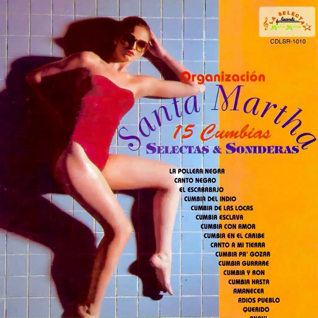 Organizacion Santa Martha