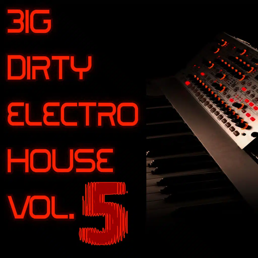 Big Dirty Electro House: Vol 5