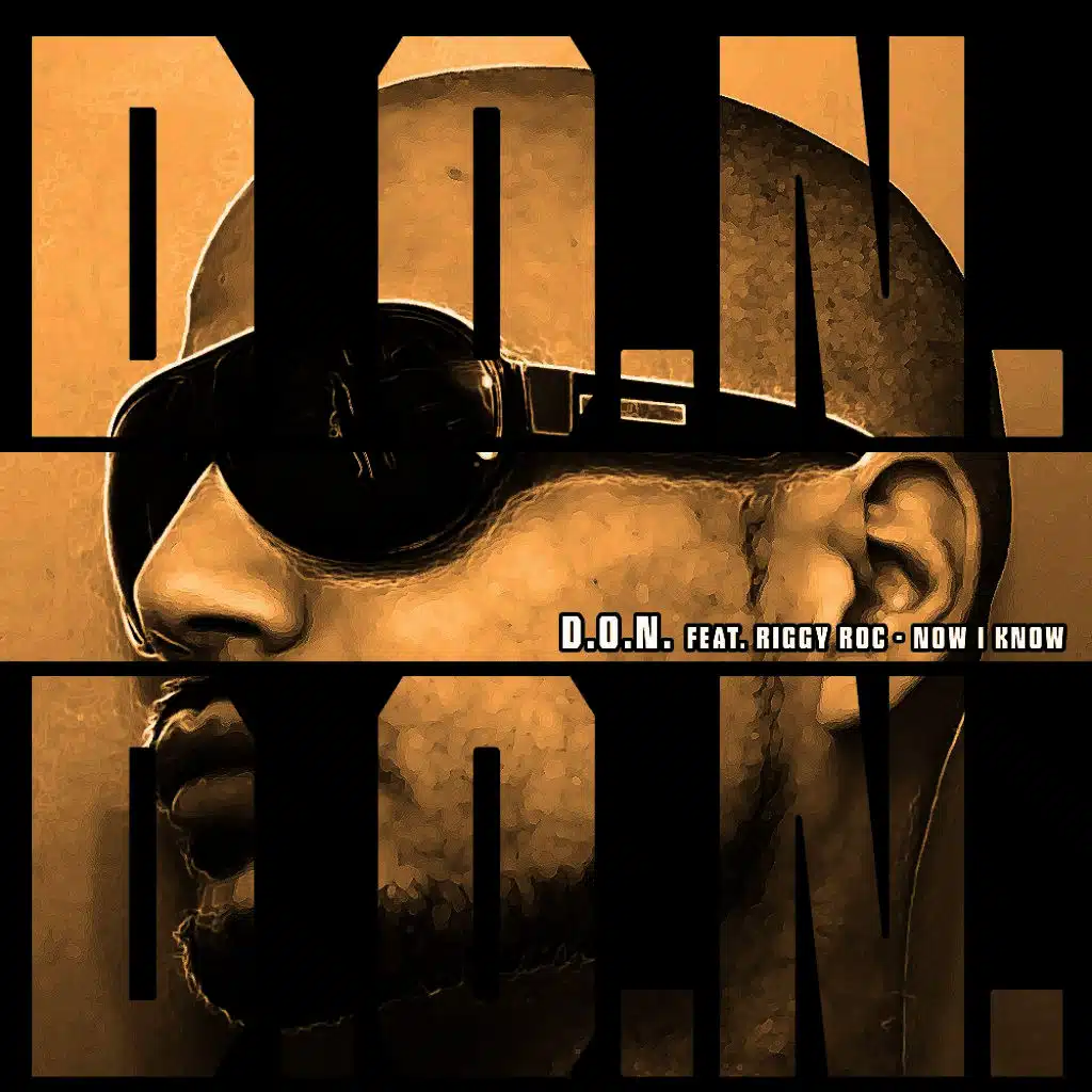 D.o.n. feat. Riggy Roc