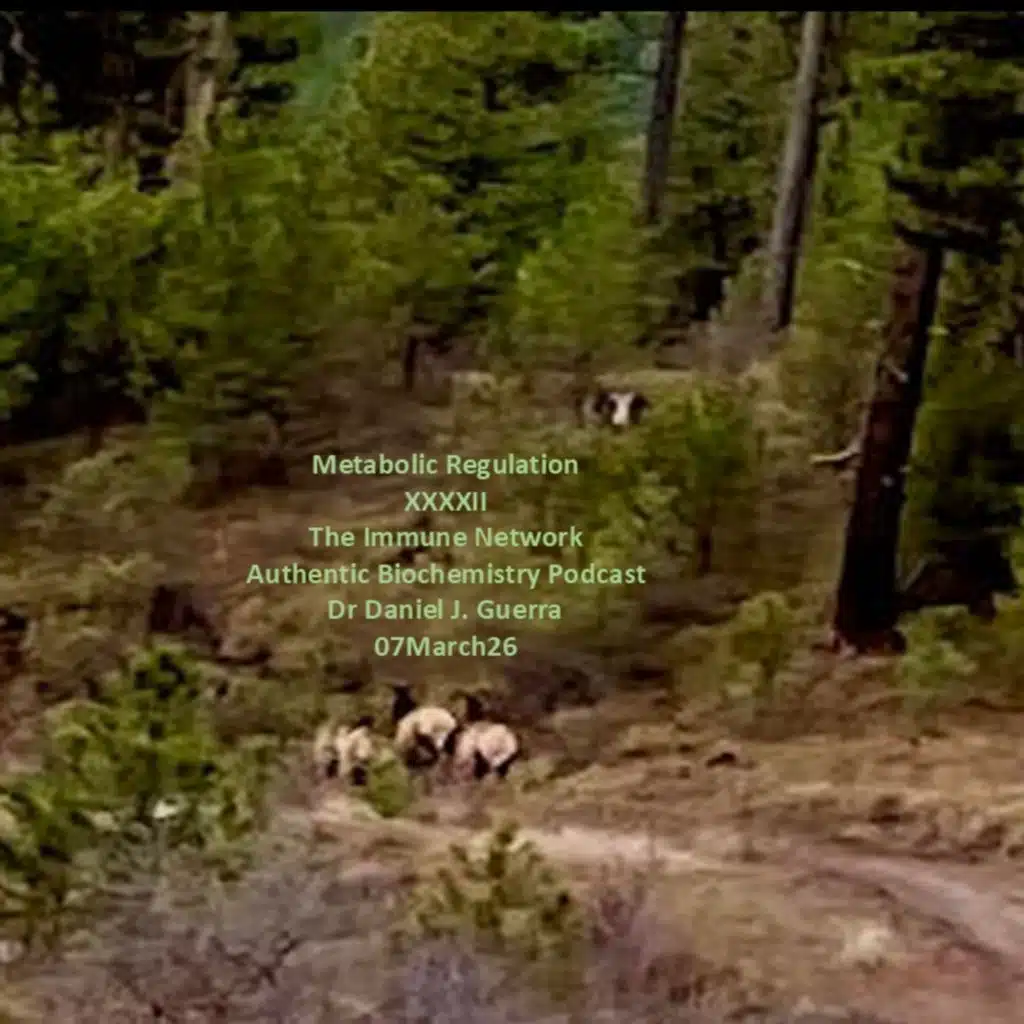 Metabolic Regulation XXXXIIThe Immune Network Authentic Biochemistry Podcast Dr Daniel J. Guerra 07March26