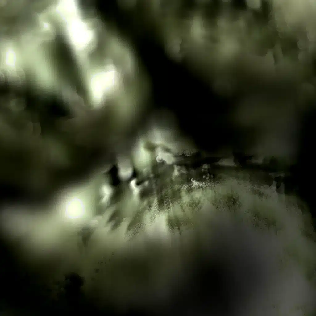 Interlaced