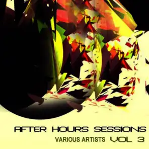 After Hours Sessions Vol 3