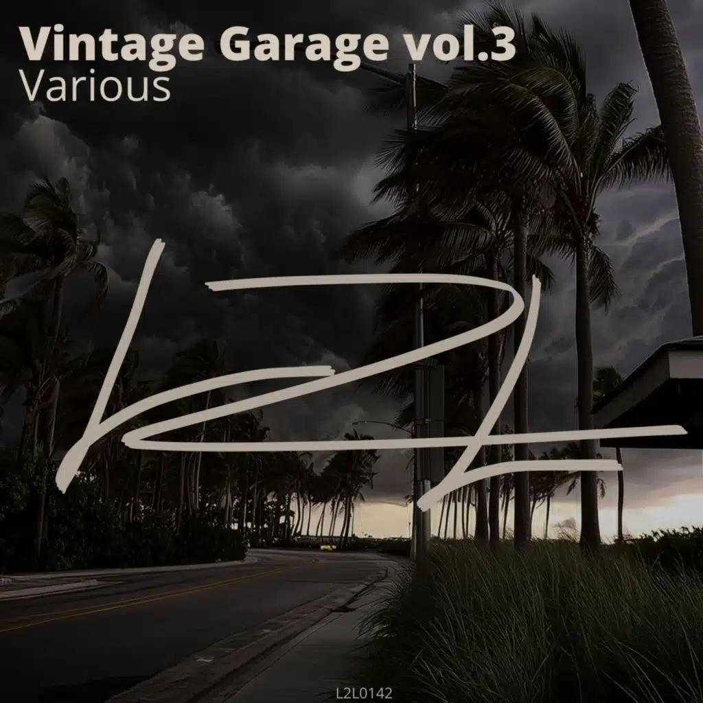 Various - Vintage Garage, Vol. 3