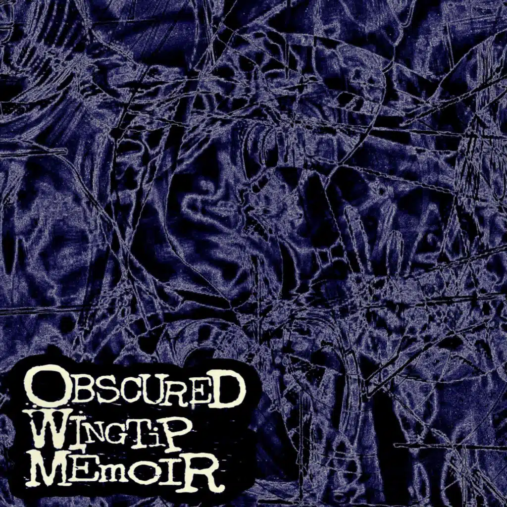 Obscured Wingtip Memoir
