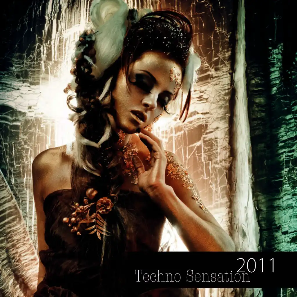 Techno Sensation 2011