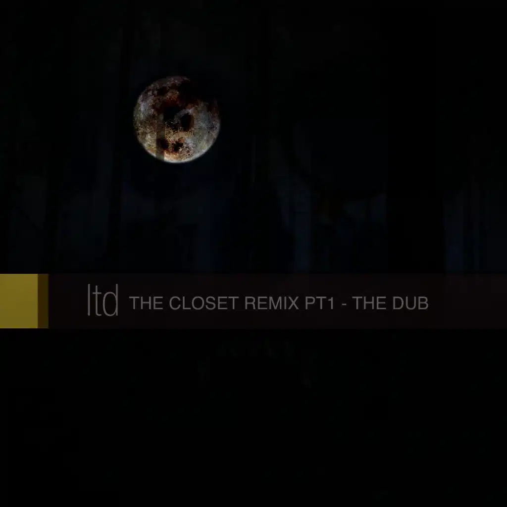The Closet Rmxs, Pt.1 - the Dub