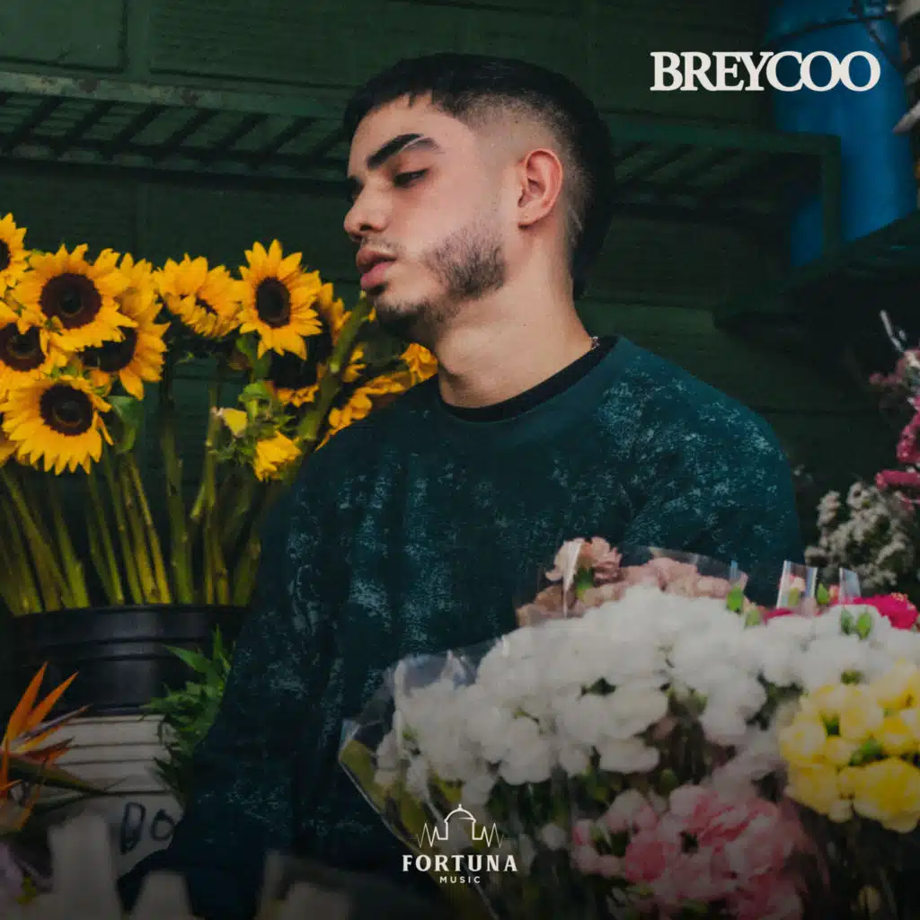 Breycoo