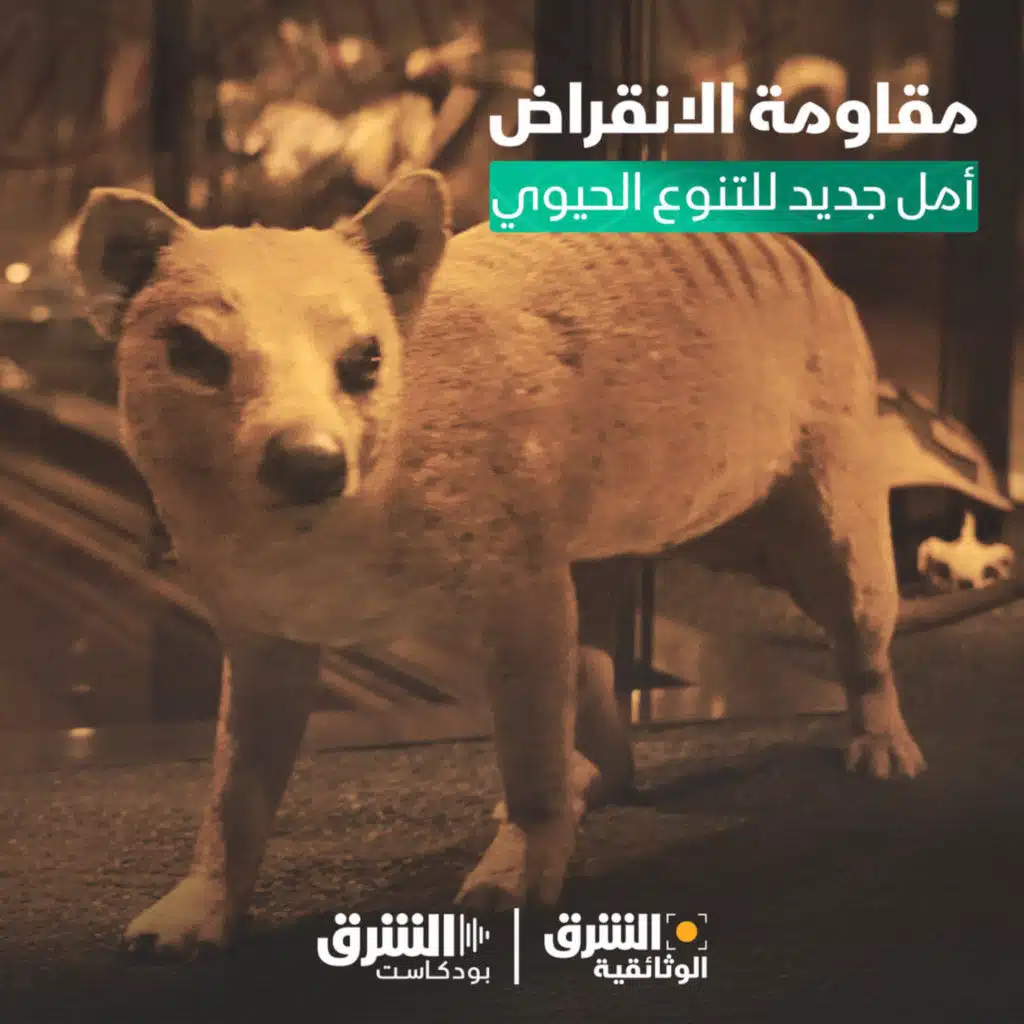 مقاومة الانقراض.. أمل جديد للتنوع الحيوي